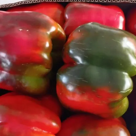 Casa Rural El Claro Casa de Férias