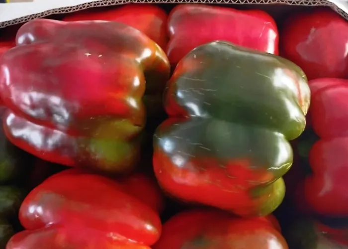 Casa Rural El Claro 펜션