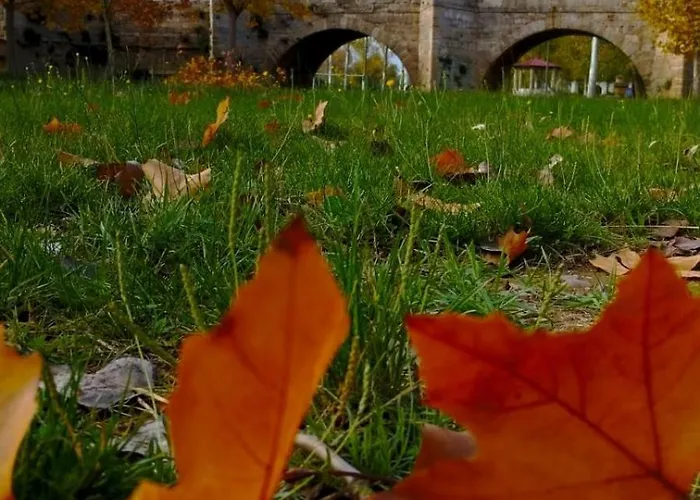 Casa Rural El Claro Torquemada